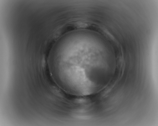 X0000115560655200911061554
