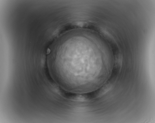 X0000115560656200911061554