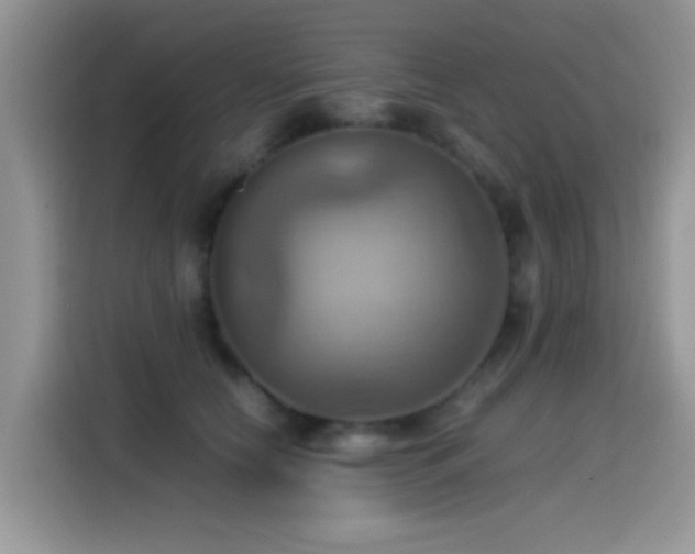 X0000115560658200911061554