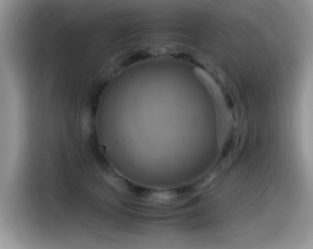 X0000115560659200911061554