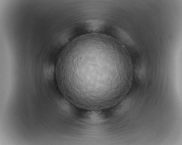X0000115560660200911061554