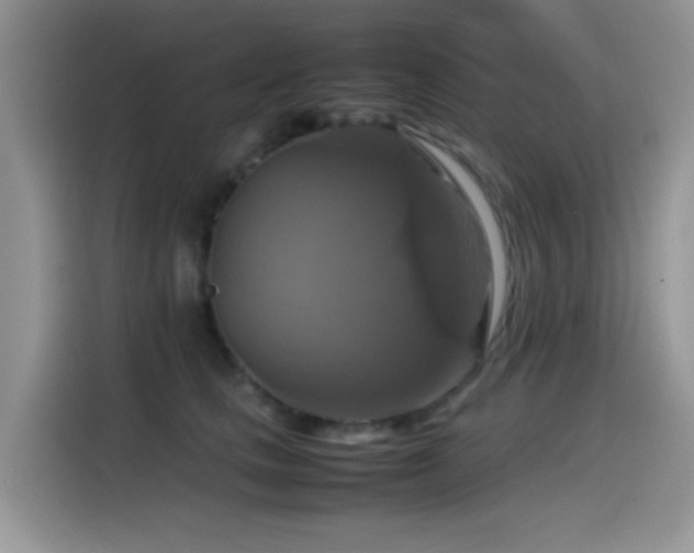 X0000115560661200911061554