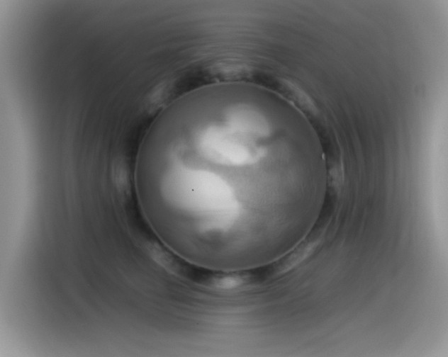 X0000115560662200911061554