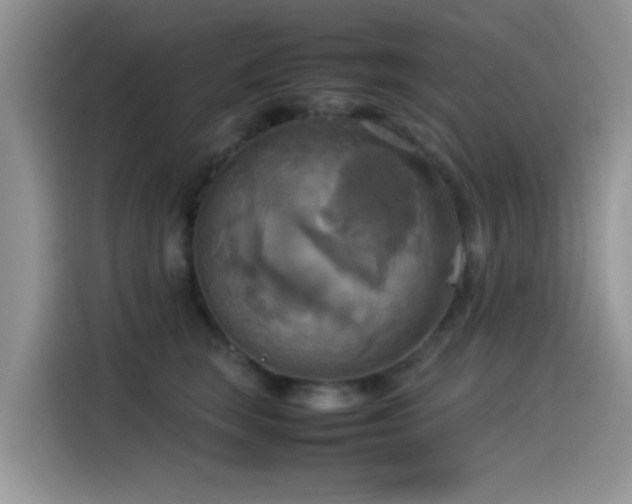 X0000115560663200911061554