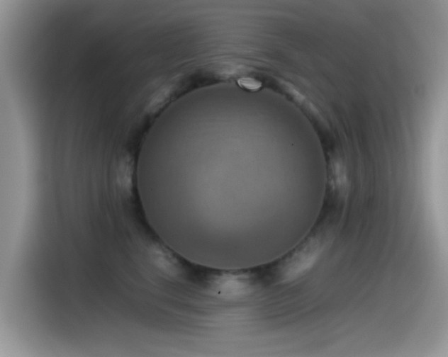 X0000115560664200911061554