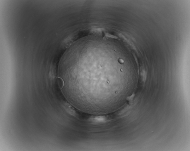 X0000115560665200911061554