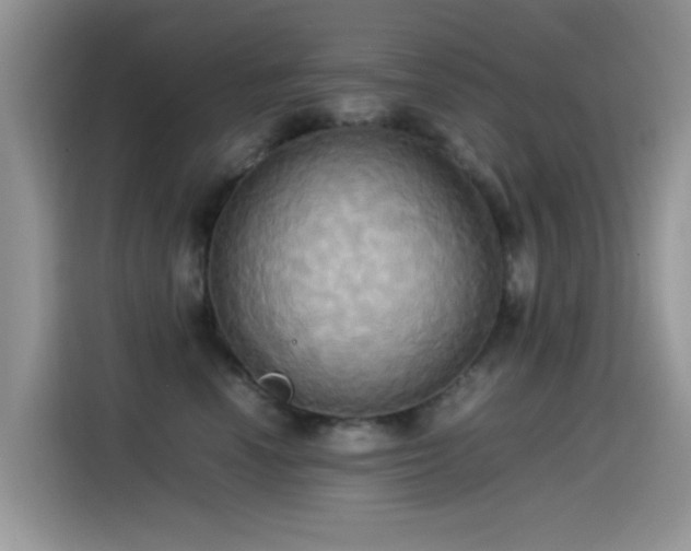 X0000115560666200911061554
