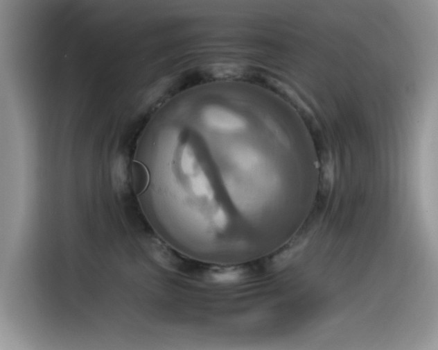 X0000115560667200911061554