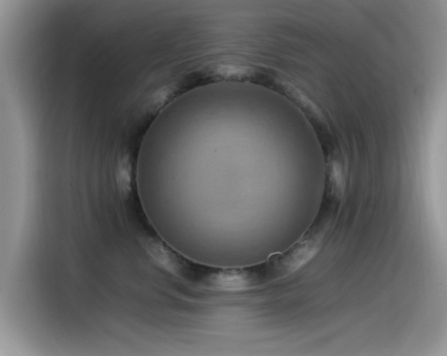X0000115560668200911061554