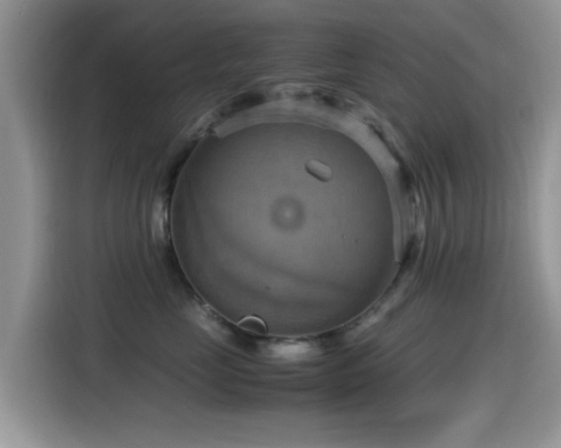 X0000115560669200911061554