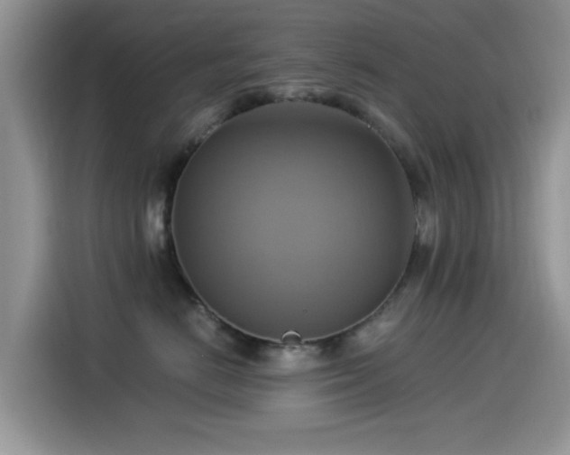 X0000115560670200911061554