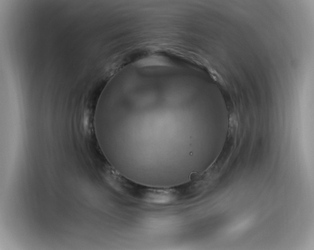 X0000115560671200911061554