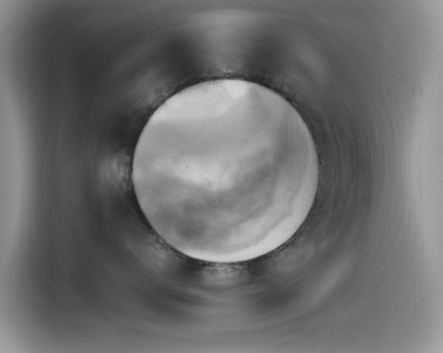 X0000115560672200911061554