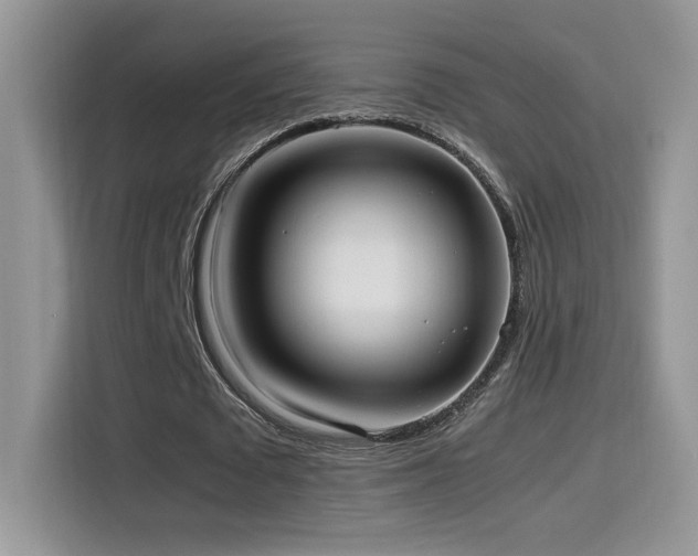 X0000115560673200911061554