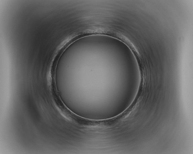 X0000115560674200911061553