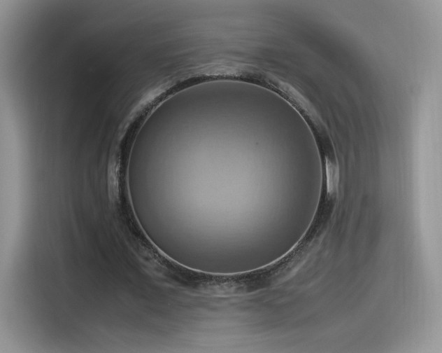 X0000115560675200911061553