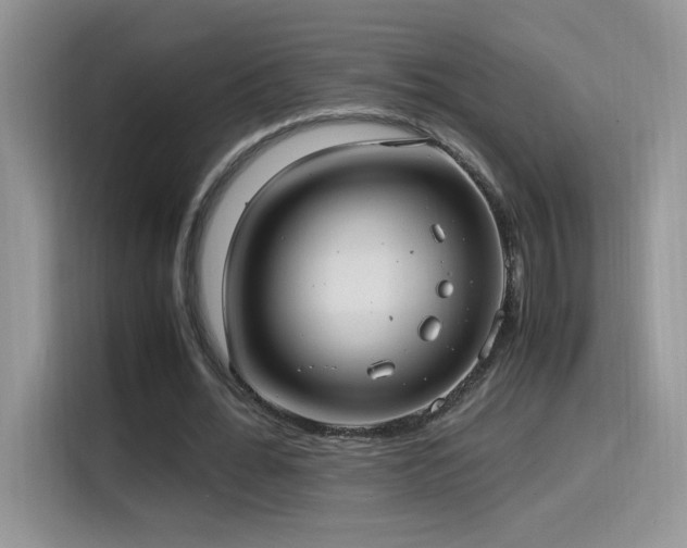 X0000115560676200911061553
