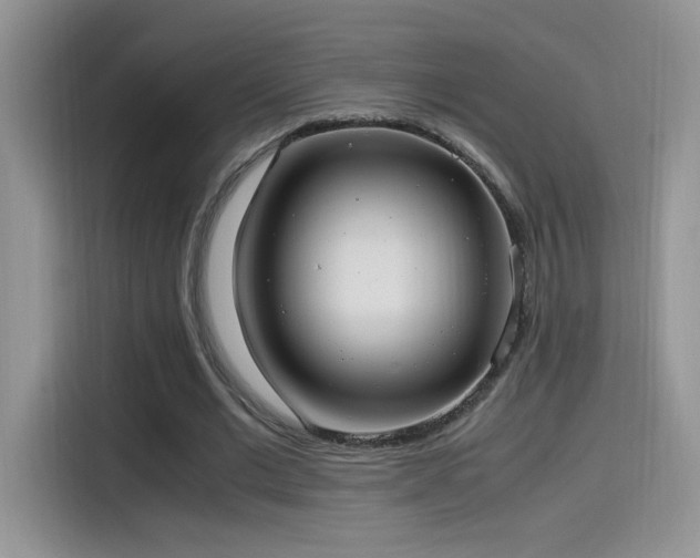 X0000115560677200911061553