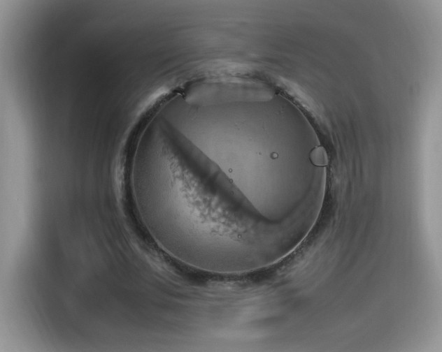 X0000115560679200911061553