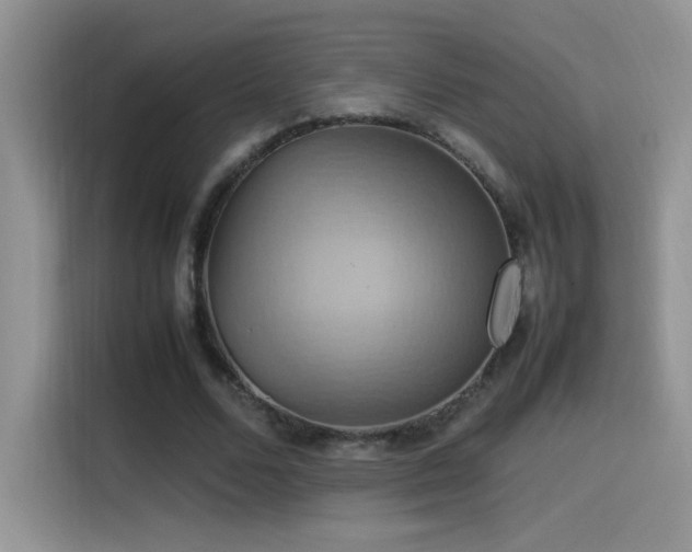 X0000115560680200911061553