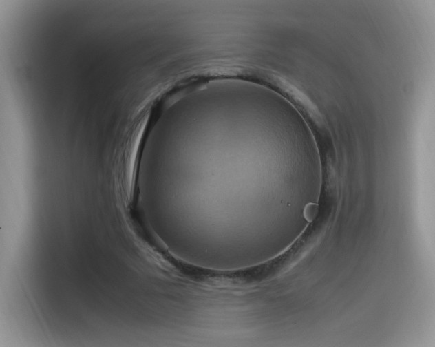 X0000115560681200911061553