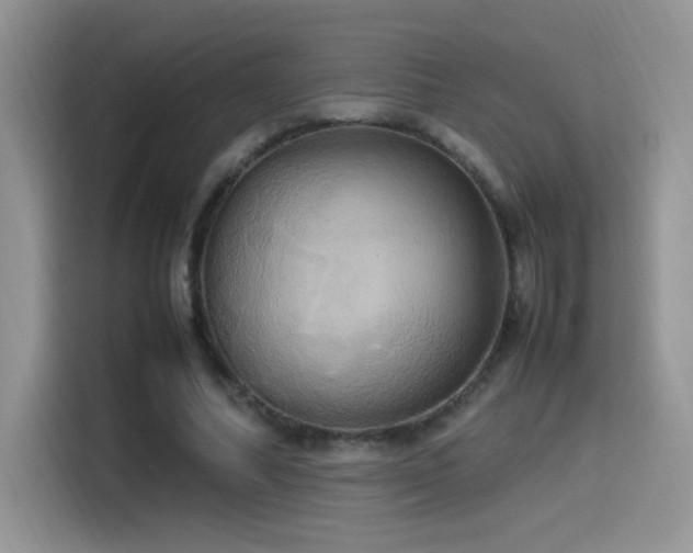 X0000115560682200911061553