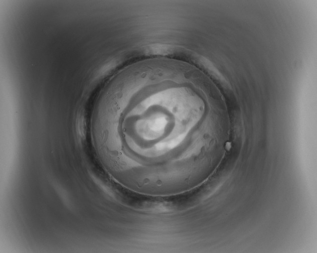 X0000115560683200911061553