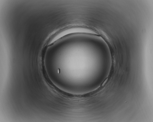 X0000115560684200911061553