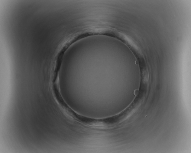 X0000115560685200911061553