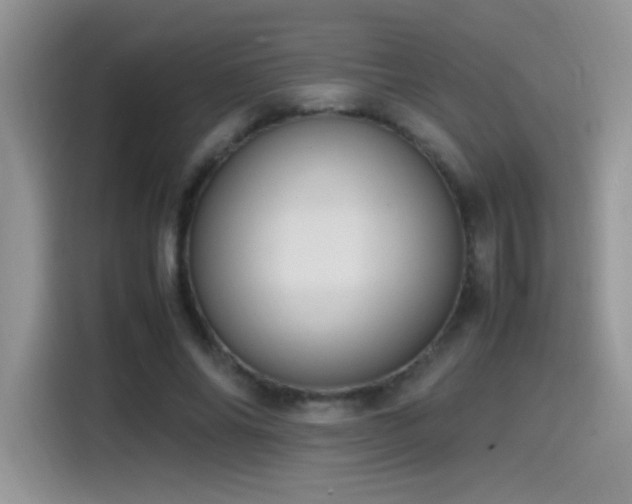 X0000115560686200911061553