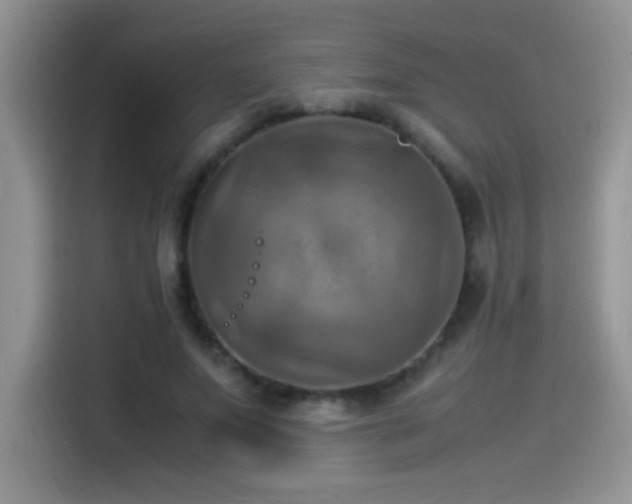 X0000115560687200911061553