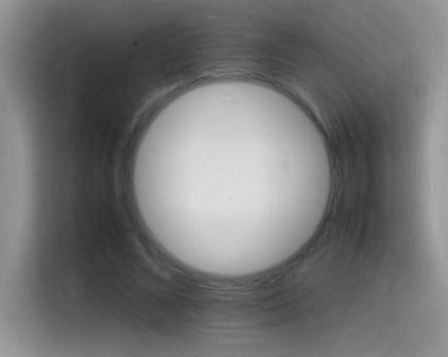 X0000115560688200911061553