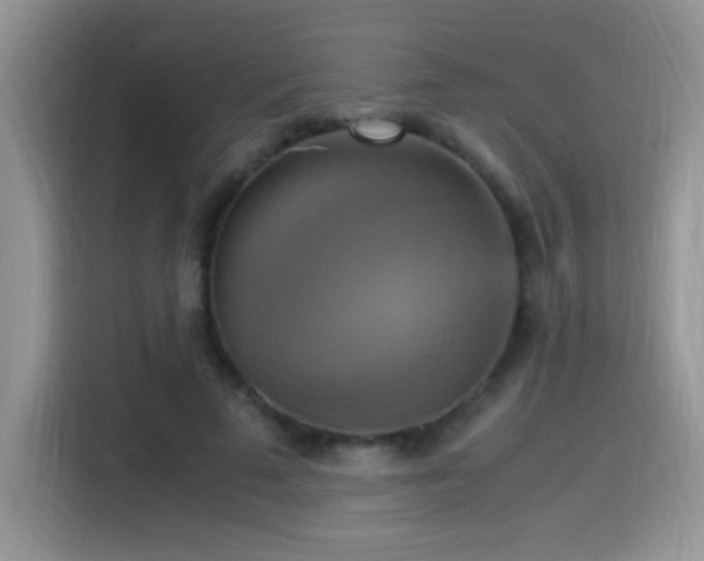 X0000115560689200911061553