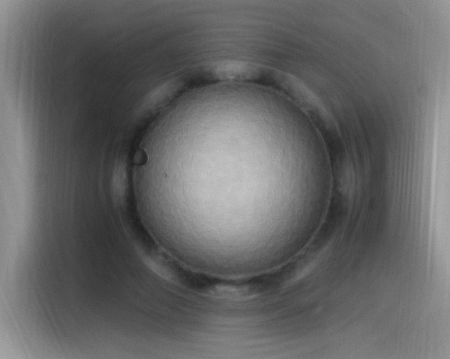 X0000115560690200911061553
