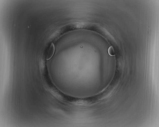 X0000115560691200911061553