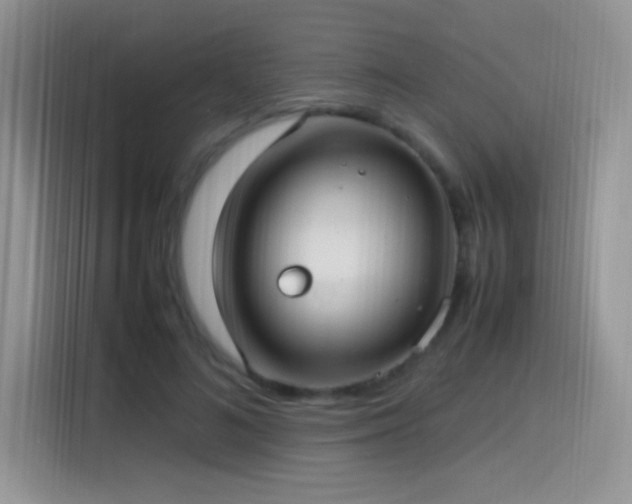 X0000115560692200911061553