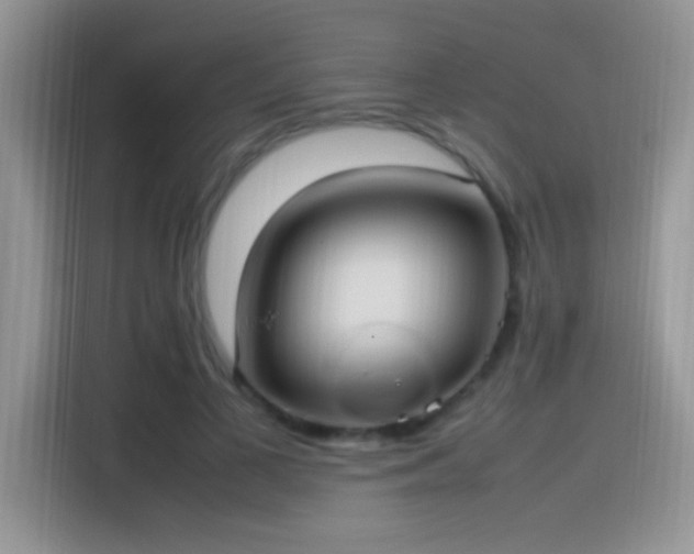 X0000115560693200911061553