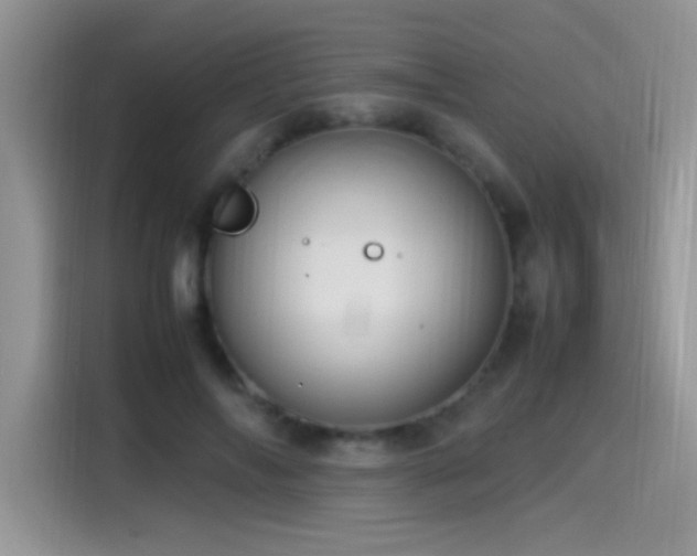 X0000115560694200911061553