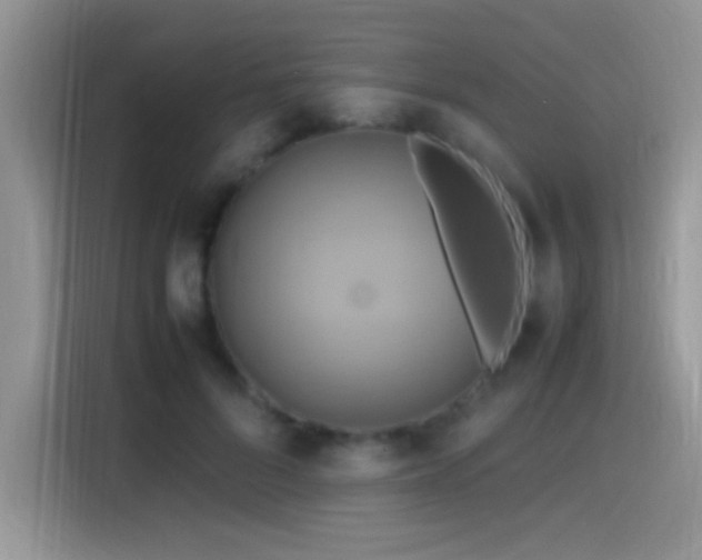 X0000115560696200911061553