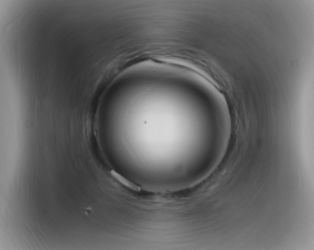 X0000115560697200911061553