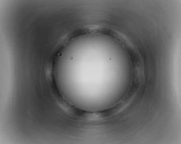 X0000115560698200911061553