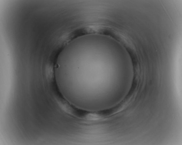 X0000115560699200911061553