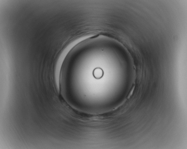 X0000115560700200911061553