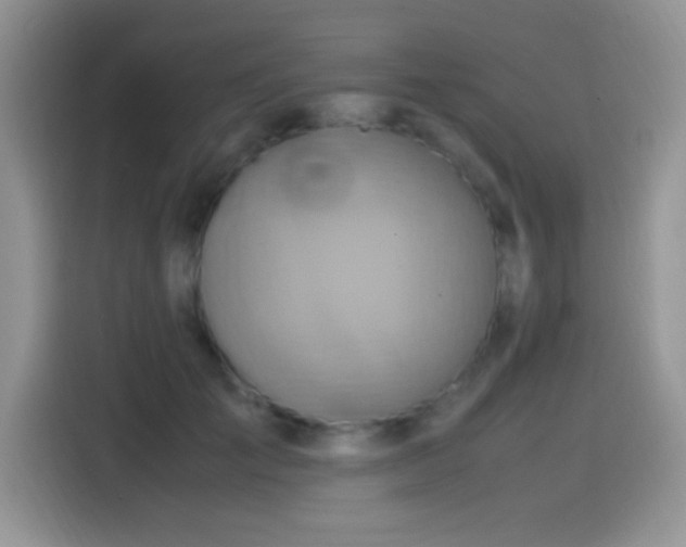 X0000115560701200911061553