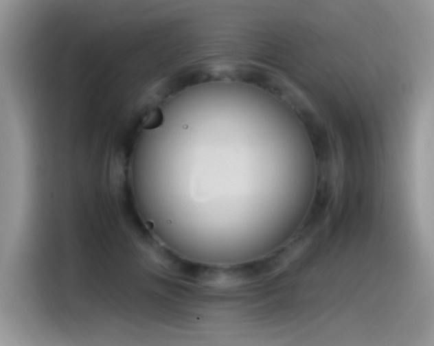 X0000115560702200911061553