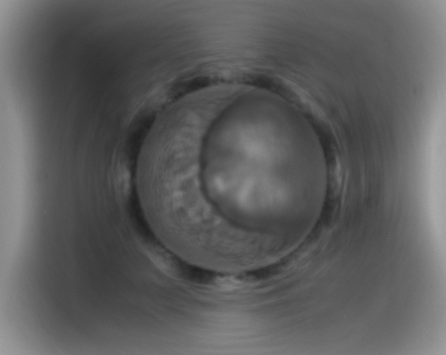 X0000115560703200911061553