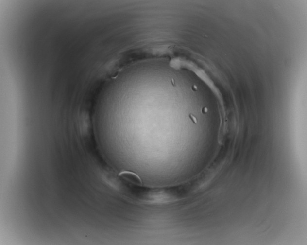X0000115560704200911061553