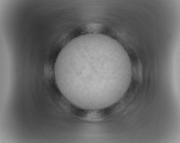 X0000115560705200911061553