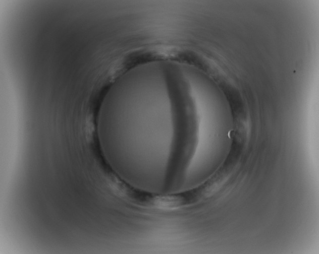 X0000115560707200911061553
