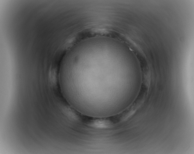 X0000115560708200911061553